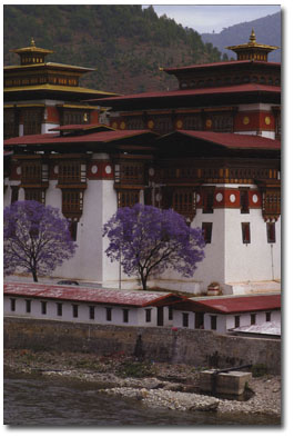 Punakha Dzong