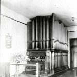 Organ