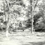 Wooden Bridge