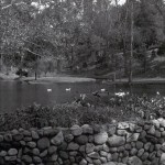 Duck Pond and Ice House